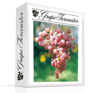Grape Forecaster